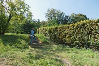 Kosa elektryczna STIHL FSE 81