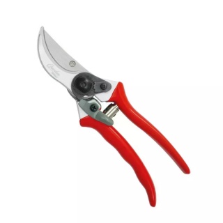Sekator nożycowy Garden DEDRA 80A001 do cięcia żywych pędów, grubość cięcia max 20 mm