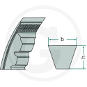 Pasek klinowy rowkowany do klimatyzacji 55130428 / 551AVX 10 X 1060 agroveo