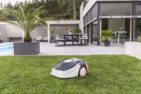 Robot koszący AL-KO Robolinho 300 E 119991 agroveo Robot koszący AL-KO Robolinho 300 E 119991 agroveo