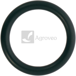 Oring 74715847 V614602950, 6219993M1