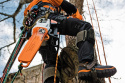 Pilarka spalinowa STIHL MS 201 TC-M