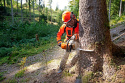 Pilarka spalinowa STIHL MS 362