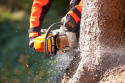 Pilarka spalinowa STIHL MS 362