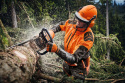 Pilarka spalinowa STIHL MS 462 C-M