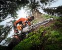 Pilarka spalinowa STIHL MS 500i W