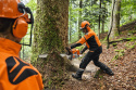 Pilarka spalinowa STIHL MS 881