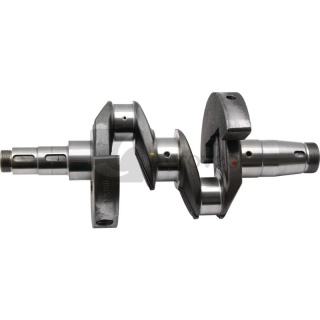 Wał korbowy 2 cyl. 38004612 02929337