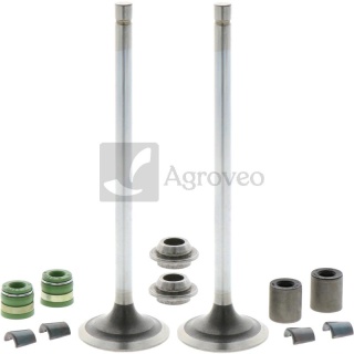 Zestaw zaworów dolotowych 11044570 RE557890