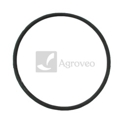 Oring 38002060 3228344R1