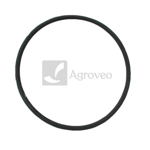 Oring 38002060 3228344R1