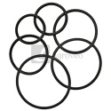 Oring 570020.0X2.0 X548860466000 Oring 570020.0X2.0 X548860466000