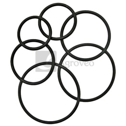 Oring 570020.0X2.0 X548860466000
