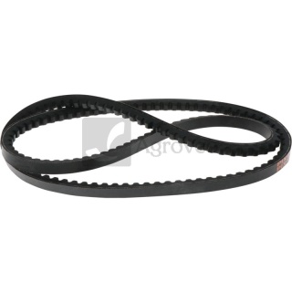 Pas klinowy 74702445 218509A1