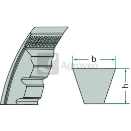 Pasek klinowy 551AVX 10 X 1060 1004254, 5094418, AVX10 1060