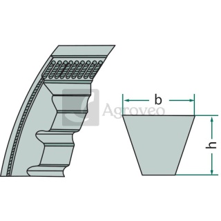 Pasek klinowy 551AVX 10 X 1060 1004254, 5094418, AVX10 1060