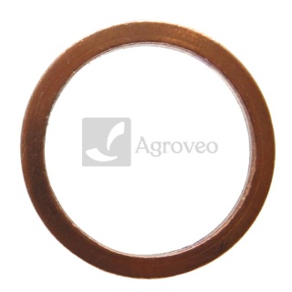 Pierścień uszczelniający 38004666 01118688, 2.1560.052.0