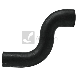 Przewód chłodnicy 74702201 137902A1, 1536489C1