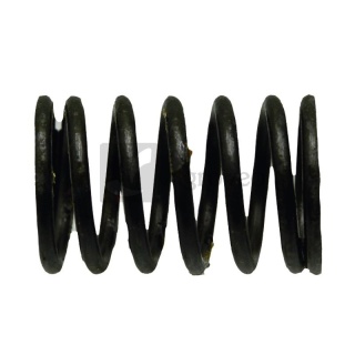 Sprężyna naciskowa 38006635 F024200410160