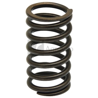 Sprężyna zaworu 38013030 04200150