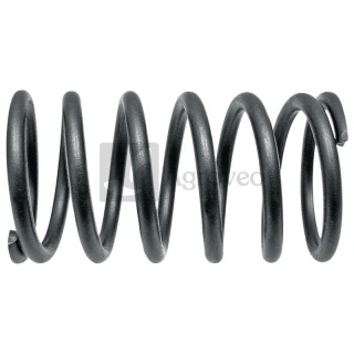 Sprężyna zaworu 38015519 V836646380, 3638964M1, 1005354317