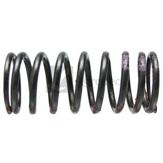 Sprężyna zaworu 38016701 4030531022