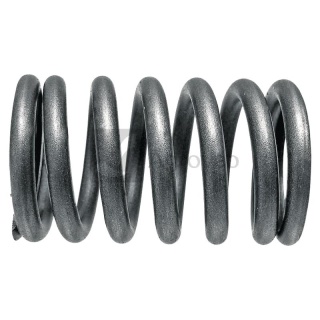 Sprężyna zaworu 38017149 81717773