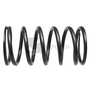 Sprężyna zaworu 38018324 7701032439