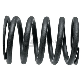 Sprężyna zaworu 38018325 7701032440