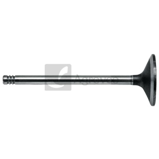 Zawór ssący 38013027 04255254, 04209110, 04255883, 04283380