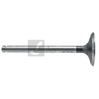 Zawór ssący 38015510 3637042M1