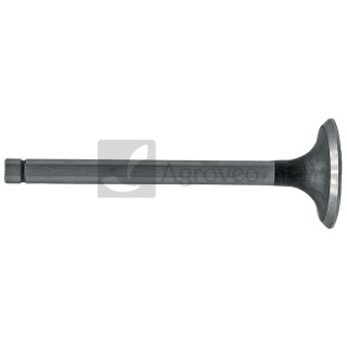 Zawór ssący 38023129 531969010555