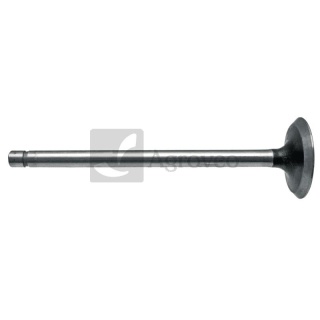 Zawór wydechowy 38012471 R43679