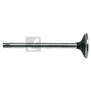 Zawór wydechowy 38013028 04255255, 04209111, 04283381