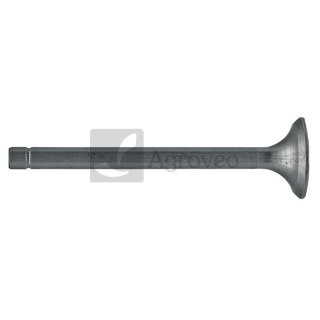 Zawór wydechowy 38023130 531969010554