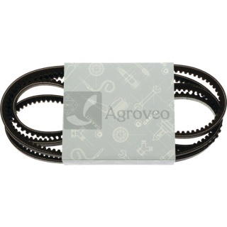 Zestaw pasków klinowych 74706174 X696612600000, AP1002479