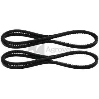 Zestaw pasków klinowych 74715885 X696615900000, X696616702010, F100002235256