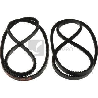 Zestaw pasów klinowych 74715645 1686614M91