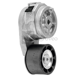 Napinacz paska klinowego 74712223 RE184034, APV2721