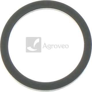 Oring 11317487 84128243, 4895297