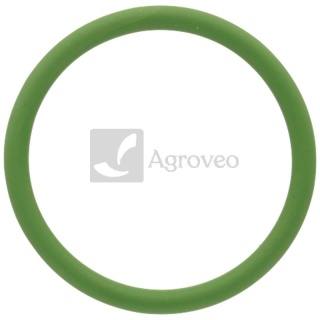 Oring 380060295 X548908412000, 01153828