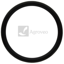 Oring 38006670 X548939066000