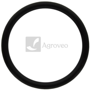 Oring 38006670 X548939066000