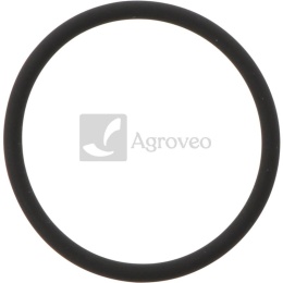 Oring 38017900 42548060