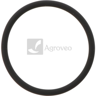 Oring 38017900 42548060