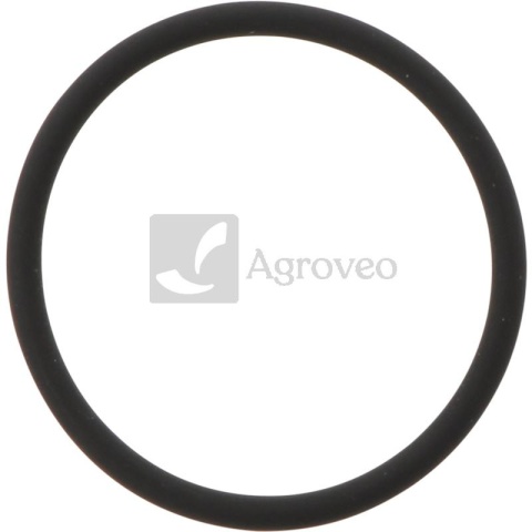 Oring 38017900 42548060