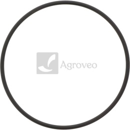 Oring 38022310 V836855446