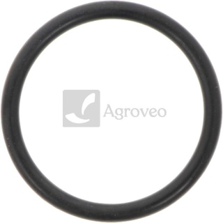 Oring 74715846 V614602930