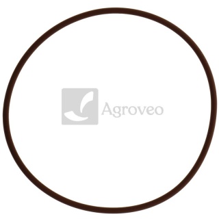 Oring 74717229 17291781