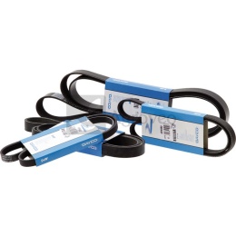 Pas klinowy rowkowany 86210PK1448HD 4294636M1, 4282010M1, 10PK1448HD